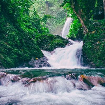 真人鱼传说游戏下载