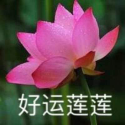 凌霄神途官方版(暂未上线)v3.77 安卓版